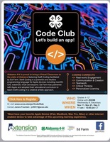 Is your child interested in learning coding?